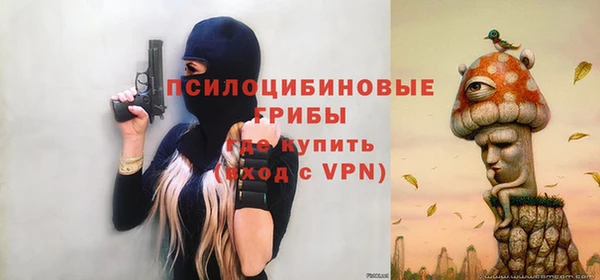 метадон Арсеньев