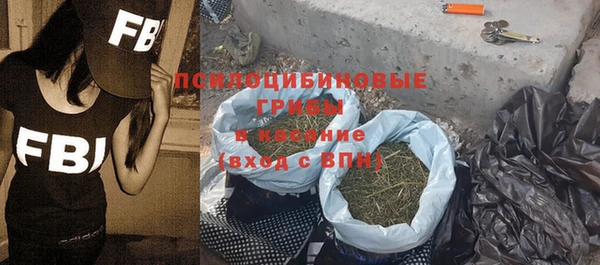 ГАЛЛЮЦИНОГЕННЫЕ ГРИБЫ Новозыбков