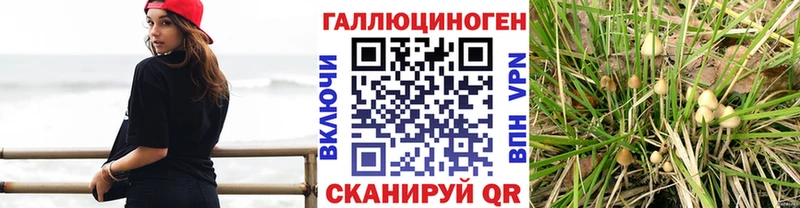 Галлюциногенные грибы Cubensis  Белебей 